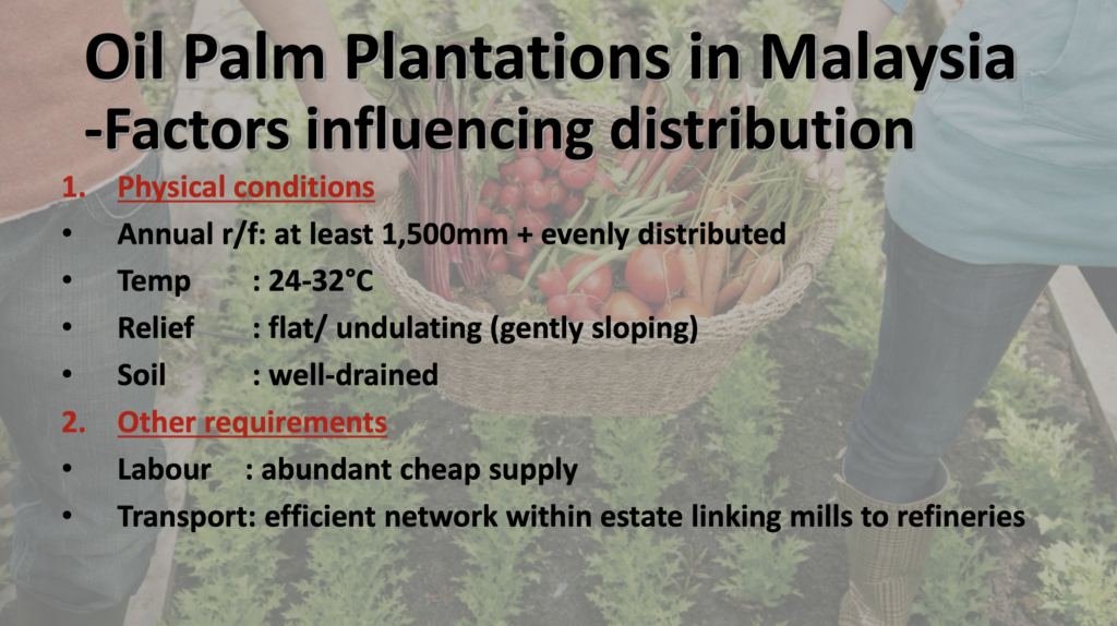 geography of food production